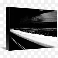 ���ָ��ٵ綯���������߸���-������