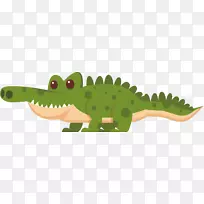 鳄鱼鼻子-长鼻子鳄鱼-空若网 鳄鱼鼻子-长鼻子鳄鱼-空若网