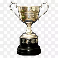 钓鱼奖杯-奖杯-空若网 钓鱼奖杯-奖杯-空若网