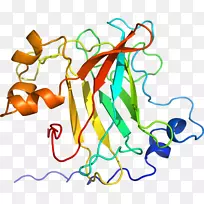 ������Ϊ���������-������