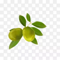 �������ȹ�-������