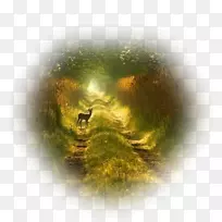 自然摄影野生动物摄影-空若网 自然摄影野生动物摄影-空若网