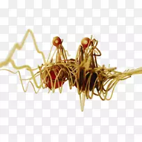 ²ÝÀàÉÌÆ·¼ÒÍ¥Á¢ÌåÉùÅ·ÖÞ·ç¼Ü-¿ÕÈôÍø ²ÝÀàÉÌÆ·¼ÒÍ¥Á¢ÌåÉùÅ·ÖÞ·ç¼Ü-¿ÕÈôÍø