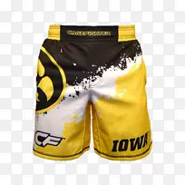 ���ɻ���ӥ��ˤ�ӶӰ��ɻ������������ѧ��ͷȭ-������