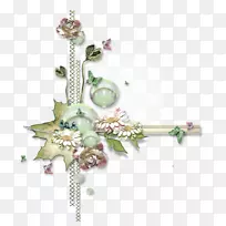 ��װ�����Ӱ������-������