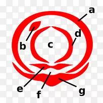 虱子,昆虫口器,书虱,蓟马,考古学家-空若网 虱子,昆虫口器,书虱,蓟马,考古学家-空若网