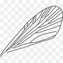 �׳���������������-�׳�-������