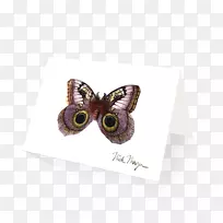 紫紫-空若网 紫紫-空若网