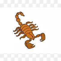 Ы�Ӷ�������������ʦ����-������