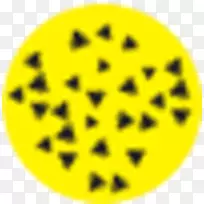 Ц�������������-Ц��-������