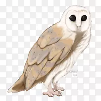 猫头鹰嘴羽毛翅膀动物-猫头鹰-空若网 猫头鹰嘴羽毛翅膀动物-猫头鹰-空若网