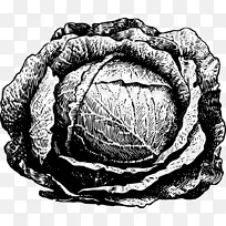 �߲˰��Ĳ�С�ײ˺�ɫ���Ĳ˼�����-�߲�-������