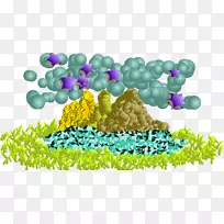 桌面壁纸电脑-空若网 桌面壁纸电脑-空若网