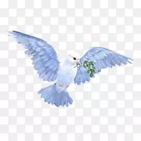 �ڻ������ɸ����������-������