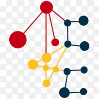 ��ѧ����ѧ-������