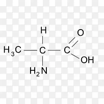 蛋白质性氨基酸丙氨酸α-酮戊二酸-空若网 蛋白质性氨基酸丙氨酸α-酮戊二酸-空若网