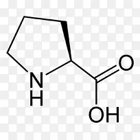 �������װ���������ճ������ʳ�����-������