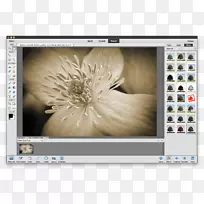 Adobe Photoshop元素图像编辑adobe Lighttroom-空若网 Adobe Photoshop元素图像编辑adobe Lighttroom-空若网