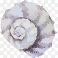 Ë®²Ê»¼ôÌù»-º£ÂÝ-¿ÕÈôÍø Ë®²Ê»¼ôÌù»-º£ÂÝ-¿ÕÈôÍø