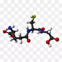 谷胱甘肽抗氧化细胞自由基人体-空若网 谷胱甘肽抗氧化细胞自由基人体-空若网