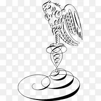 黑白照片阿拉米剪贴画.鹰-空若网 黑白照片阿拉米剪贴画.鹰-空若网