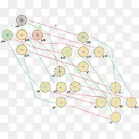 线状三角体对称二面体群亨达康-何首乌-空若网 线状三角体对称二面体群亨达康-何首乌-空若网