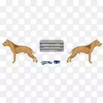 犬种鼻子野生犬-空若网 犬种鼻子野生犬-空若网