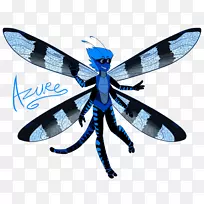 蜻蜓昆虫传粉器翼微软蓝-蜻蜓-空若网 蜻蜓昆虫传粉器翼微软蓝-蜻蜓-空若网