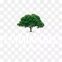 �������ֽ������-��-������