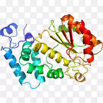 人体首饰有机体线剪贴画线-空若网 人体首饰有机体线剪贴画线-空若网