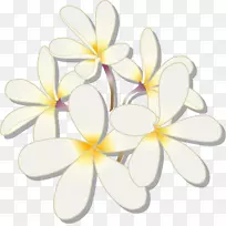 �������-3g�ļ��ػ�-������