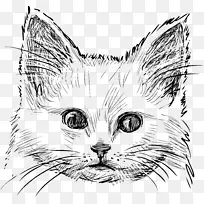 猫绘图-猫标志-空若网 猫绘图-猫标志-空若网