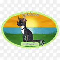 ����è-������