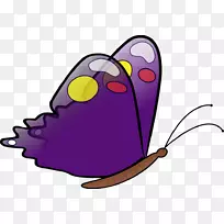 ����������������-��������������-������