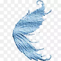 翼蝶-空若网 翼蝶-空若网