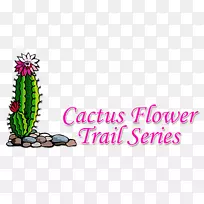 训练徽标开花植物-开花仙人掌-空若网 训练徽标开花植物-开花仙人掌-空若网