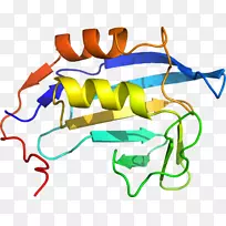 �ߵ������-��-������