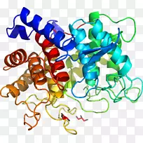 艺术有机体线动物剪贴画线-空若网 艺术有机体线动物剪贴画线-空若网