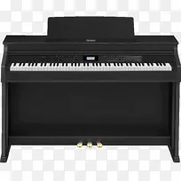 casio celviano AP-650���ָ��ټ���-������