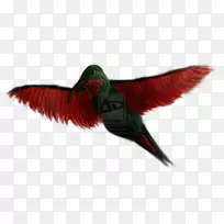 ๷�������ë-������