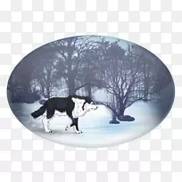 狗-动物-狗-空若网 狗-动物-狗-空若网