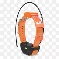 狗领gps导航系统伊丽莎白项圈狗-空若网 狗领gps导航系统伊丽莎白项圈狗-空若网