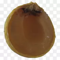 gimp插式adobe闪光灯播放器-空若网 gimp插式adobe闪光灯播放器-空若网