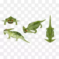 食肉动物冰期食肉动物2动物-动物-空若网 食肉动物冰期食肉动物2动物-动物-空若网