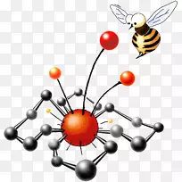 �����л���ѧ��S.A.��������.��ѧ��������-������