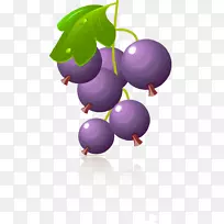 葡萄浆果剪贴画-葡萄-空若网 葡萄浆果剪贴画-葡萄-空若网