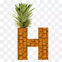 ˮ�����ܻ���ɫǦ��ʳƷ-����-������