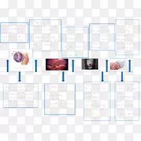 ��������ѧ����̥��������̥ѧ������-������