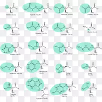 必需氨基酸胺侧链-空若网 必需氨基酸胺侧链-空若网