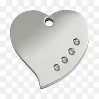 澳洲牧羊犬猫-空若网 澳洲牧羊犬猫-空若网